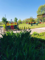 Наблюдение за природой Наблюдение за природой.